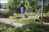 2016 Sommer 3 108.JPG