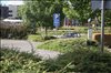2016 Sommer 3 110.JPG