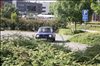 2016 Sommer 3 113.JPG