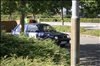 2016 Sommer 3 116.JPG