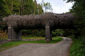 Aquaedukt Trepsenbach 02 11.jpg
