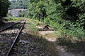 Aggius - Stazione ferroviaria (10).JPG