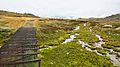 Creek and metal track on the Kosciuszko Plateau, NSW 2.jpg