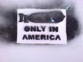 "Nuclear bomb - only in America" graffiti.jpg
