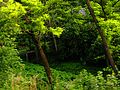 Old sluice gate on the Eger Stream Balaton-felvidek.JPG