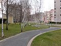 Parque Linear Vale das Flores - Coimbra.jpg