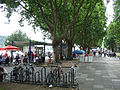 Buga 2011 Koblenz - Rheinanlagen 2008.jpg