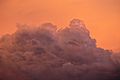 Cumulonimbus sunset detail, Albury NSW Australia.jpg