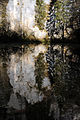 Areuse gestauter Quellteich 01 08.jpg