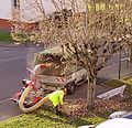 Aspirateur de feuilles.jpg