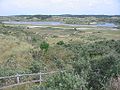 Duinen in Nationaal Park Zuid-Kennemerland.jpg