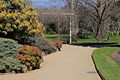 Albury botanical gardens 1.JPG