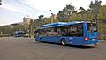 Tbilisi's new city bus - MAN Lion's city A21 CNG (01).jpg
