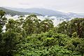Kosciuszko Range from Scammel Spur lookout, NSW.jpg