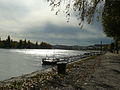 Margaret Island and the Buda Castle2.JPG