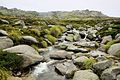 Creek on the Kosciuszko Plateau, NSW.jpg