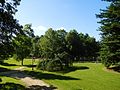 Arbres et agrès de fitness, parc Voulgre.jpg