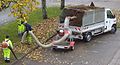 Aspirateur de feuilles (2).jpg
