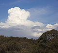 Cumulonimbus over Gungalen, ACT.jpg