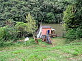 Barragem em Santa Maria do Herval 003.JPG