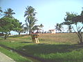 Esculturas do Parque Metropolitano de Pituaçu 3.jpg