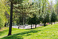 Iredell–Yadkin Co I-77N Rest Area-08.jpg