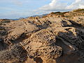 Alghero - Cala del Vino (04).jpg