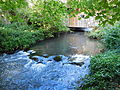 Bras du Nohain en aval du Grand moulin, Moulin-l'Évêque.jpg