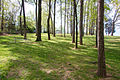 Iredell Co I-77N Rest Area-08.jpg