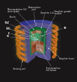 Physical vapor transport crucible-en.svg