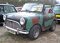 Short Mini --) (3401362679).jpg