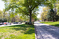 Iredell–Yadkin Co I-77N Rest Area-09.jpg
