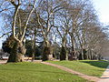 Jardim da Cordoariae (Porto).jpg