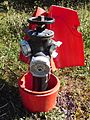Bayard fire hydrant - opened.jpg