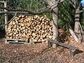 Different states of wood.JPG