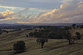 Cumulus mediocris at sunset 2.jpg