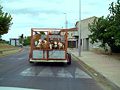Emporda cow 1.jpg