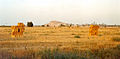 Fields in Morocco.jpg
