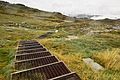 Creek and metal track on the Kosciuszko Plateau, NSW 1.jpg