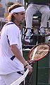 David Ferrer 2007 Australian Open R1.jpg