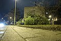 Christmas tree collection point in Budapest district XVI.jpg