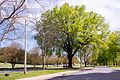 Iredell Co I-77S Rest Area-22.jpg