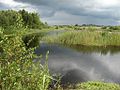 Meertje in Nationaal Park De Alde Feanen.JPG