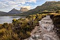 Cradle Mountain and Dove Lake, Tas.jpg