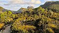 Cradle Mountain vegetation and hiking path, Tas.jpg