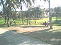 Esculturas do Parque Metropolitano de Pituaçu 1.jpg