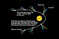 Comet tail diagram.jpg