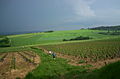 Landscape, Morvan, France.JPG