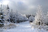 Silesian - Moravian Beskids in winter 2014.JPG